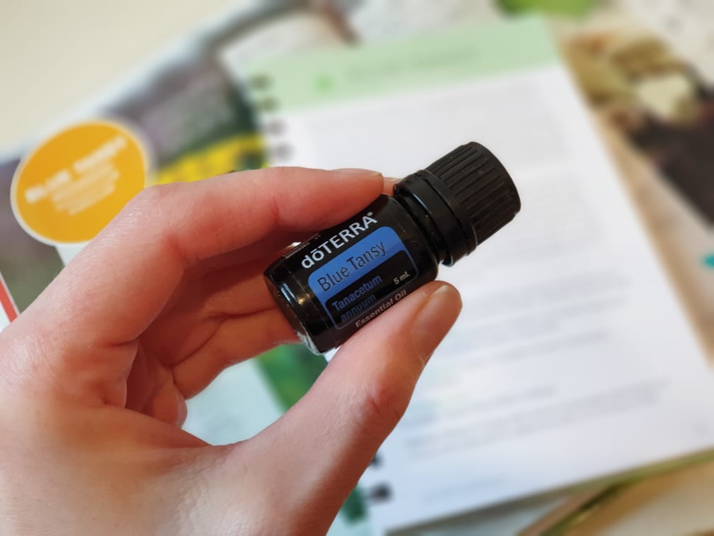 blue tansy maroška kamilica doterra bogo eterična olja eterično olje