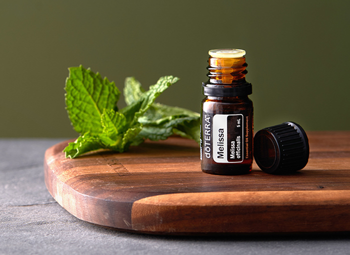 melisa eterično olje melise melissa